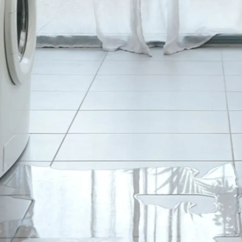 Appliance Leak Cleanup in Clifton, TX