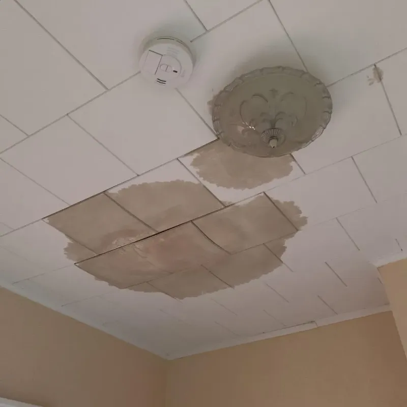 Ceiling Water Damage Repair in Clifton, TX