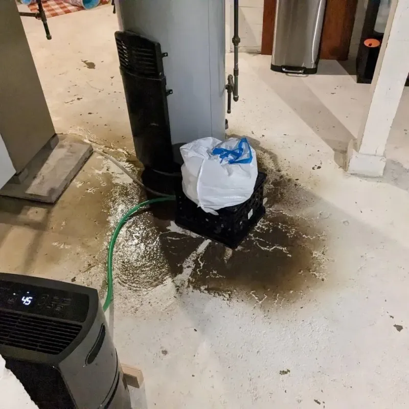 Sewage Backup Cleanup Service in Clifton, TX